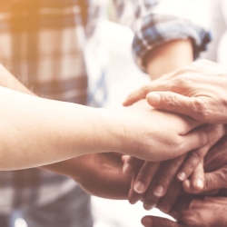hands together